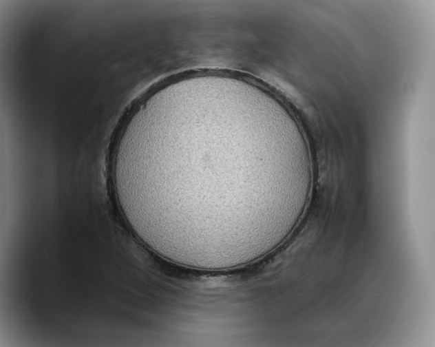 X0000089671264200707201632