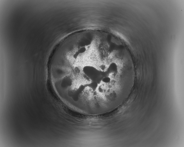 X0000089671267200707201632