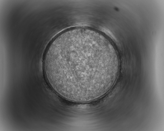 X0000089671268200707201632