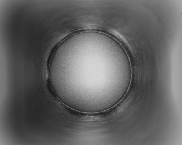 X0000089671269200707201632