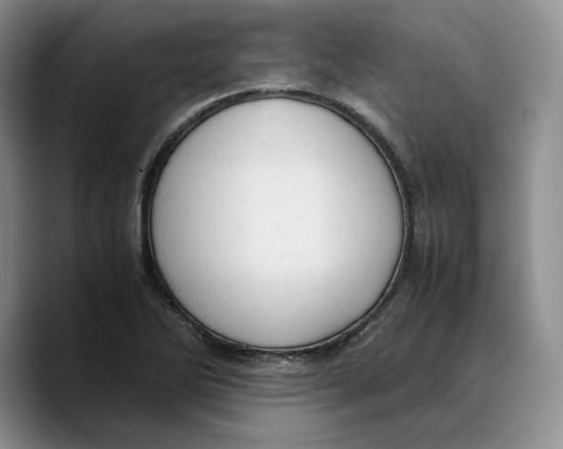 X0000089671270200707201632