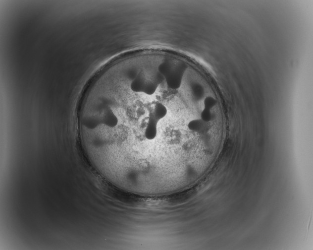 X0000089671271200707201632