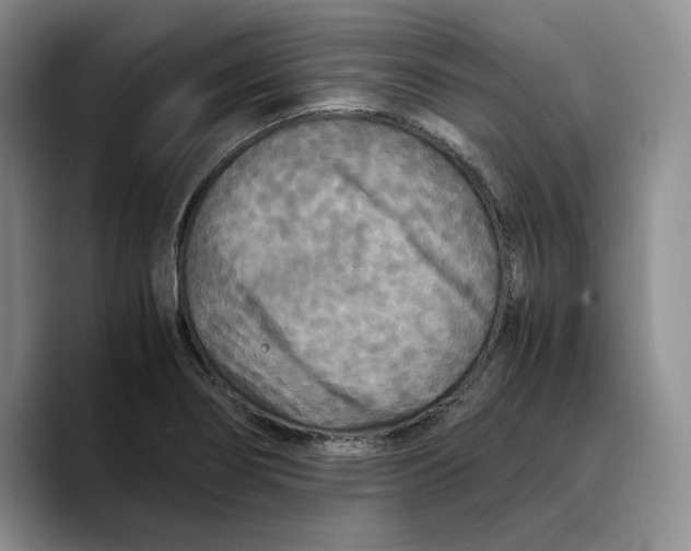 X0000089671274200707201632