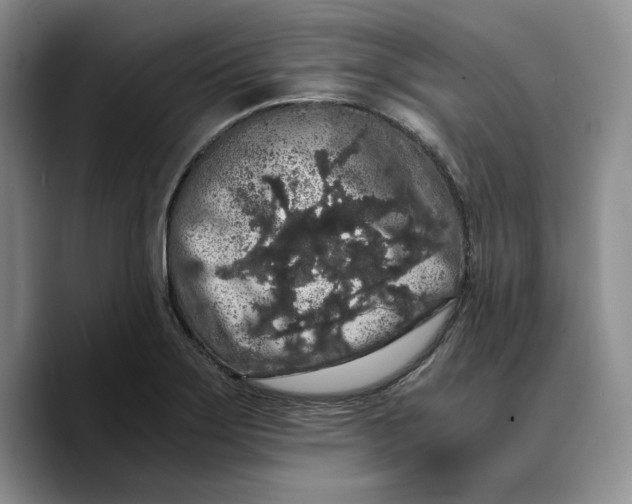 X0000089671275200707201632