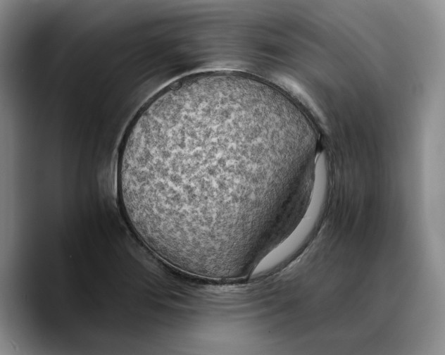 X0000089671276200707201632