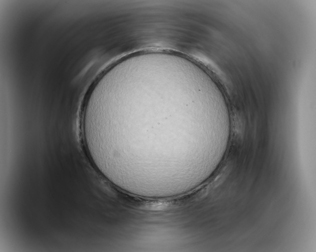 X0000089671278200707201632