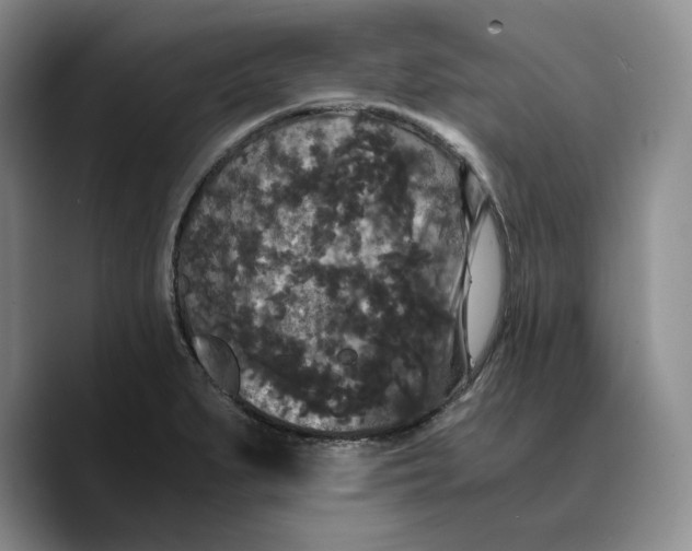 X0000089671279200707201632