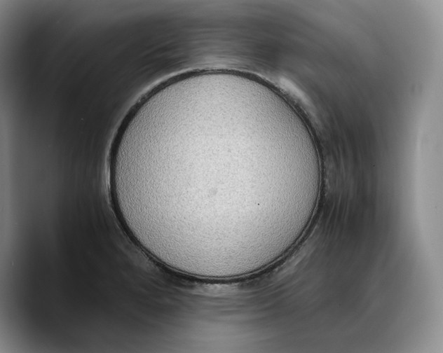 X0000089671280200707201632