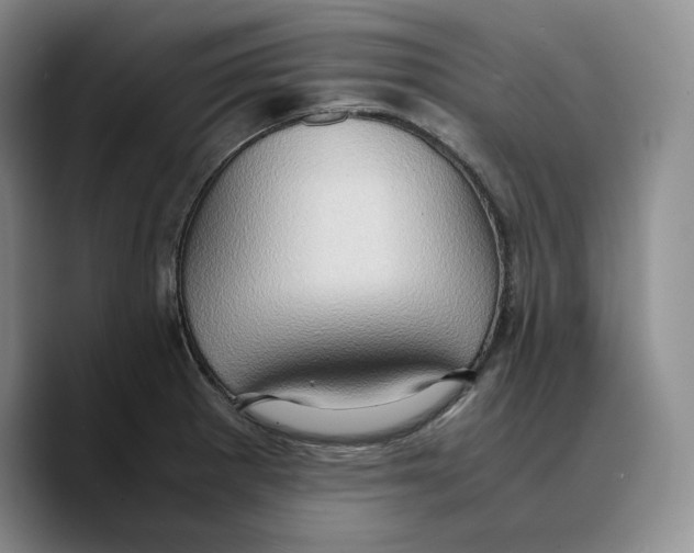 X0000089671281200707201631