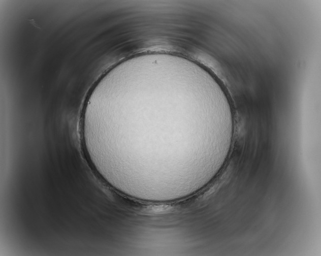 X0000089671282200707201631