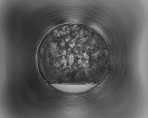 X0000089671283200707201631