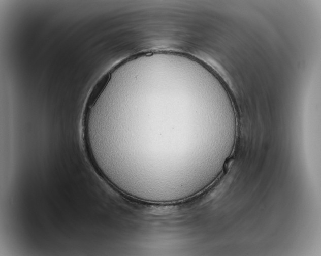 X0000089671285200707201631