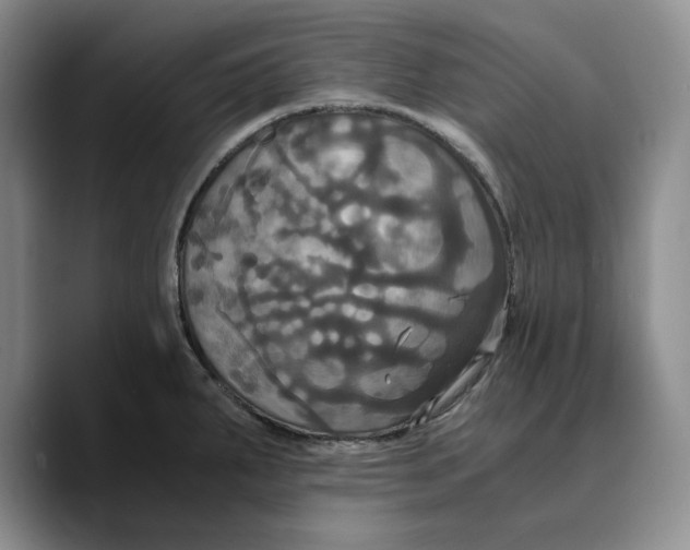 X0000089671287200707201631