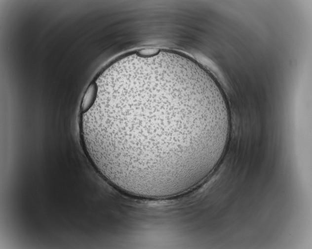 X0000089671288200707201631