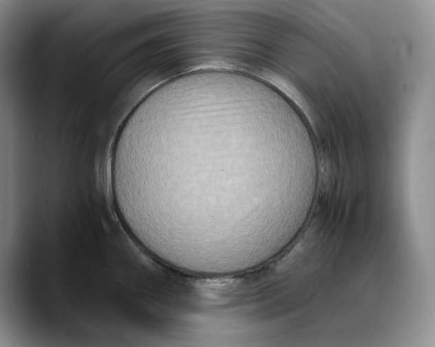 X0000089671290200707201631