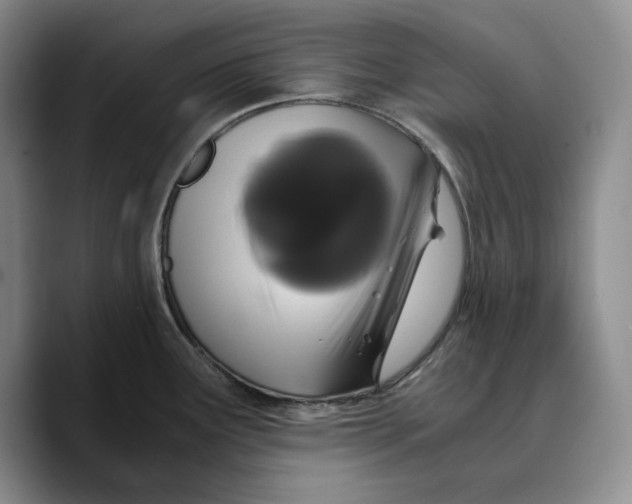 X0000089671291200707201631