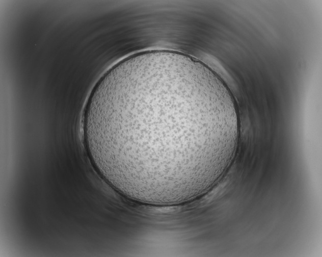 X0000089671292200707201631