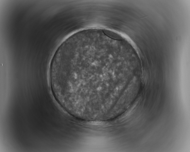 X0000089671295200707201631