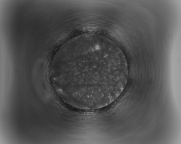 X0000089671297200707201631