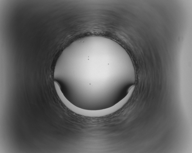 X0000089671298200707201631