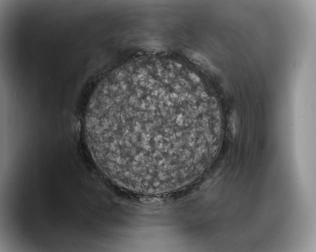 X0000089671302200707201631