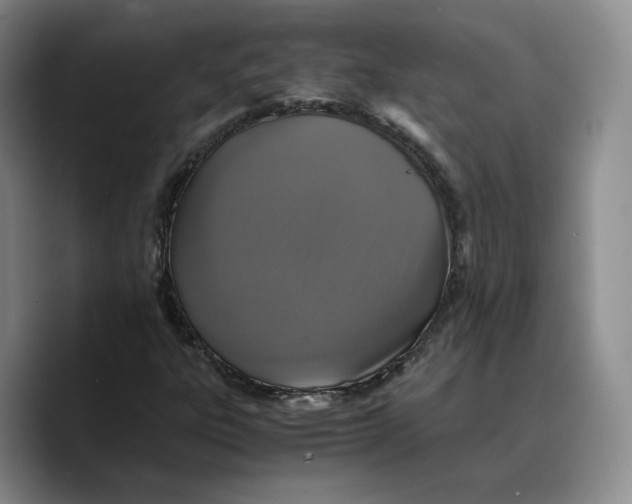 X0000089671303200707201631