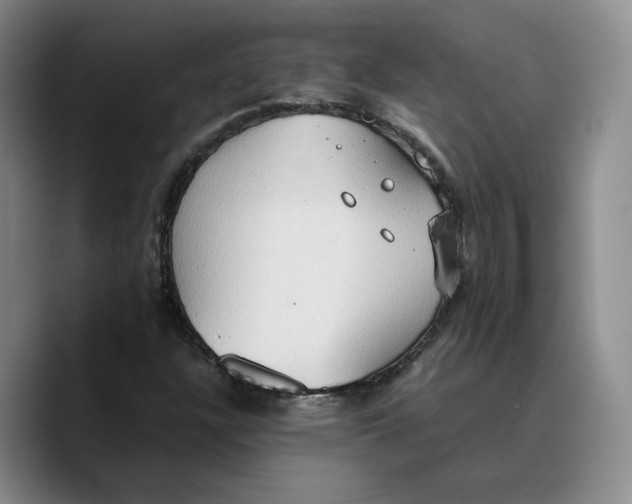 X0000089671304200707201631