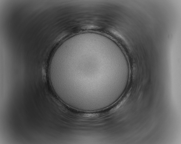 X0000089671305200707201631