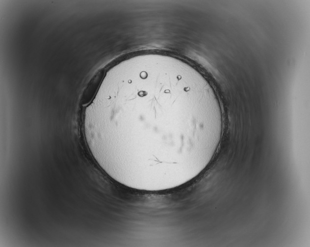 X0000089671308200707201631