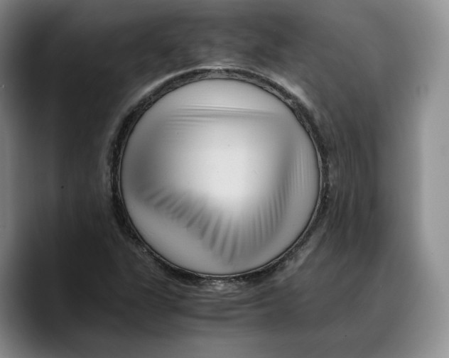 X0000089671311200707201631