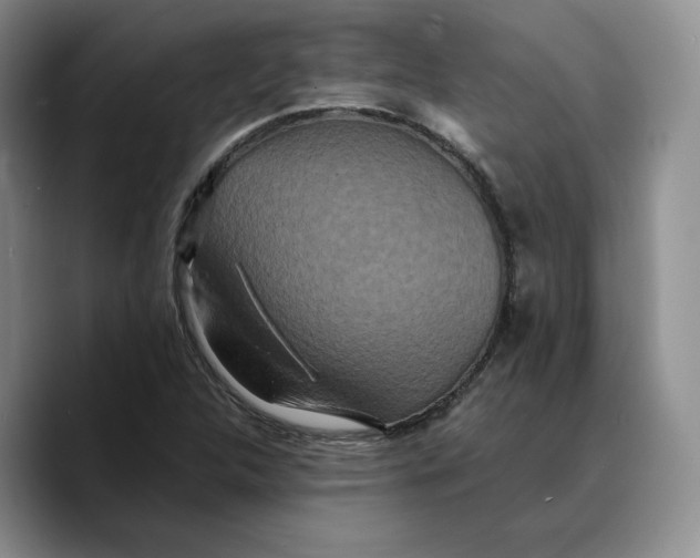 X0000089671312200707201631