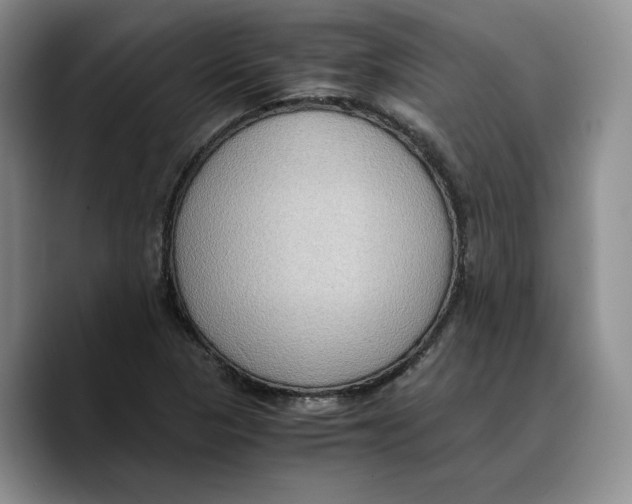 X0000089671313200707201631