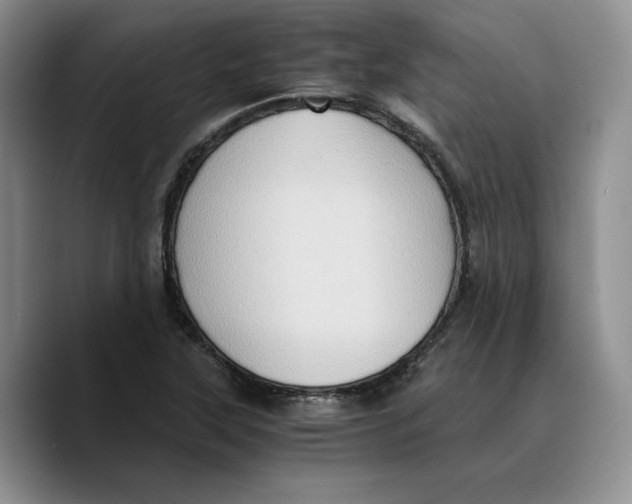 X0000089671315200707201631