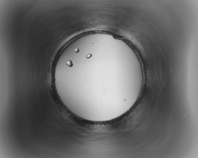 X0000089671316200707201631