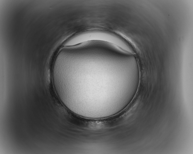 X0000089671317200707201631