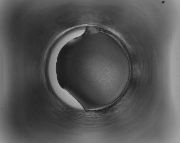 X0000089671319200707201631