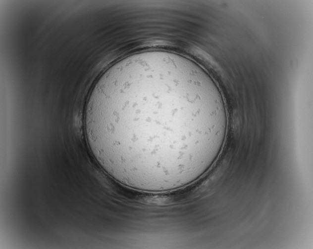 X0000089671321200707201631