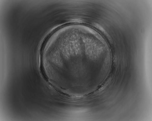 X0000089671323200707201631