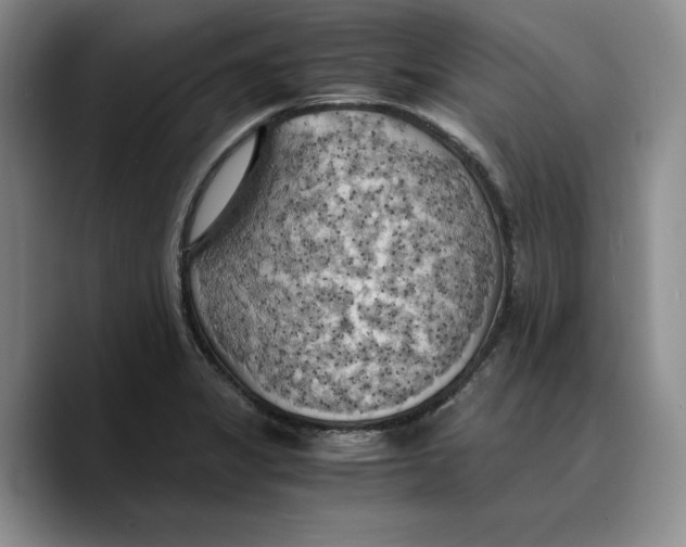 X0000089671325200707201631