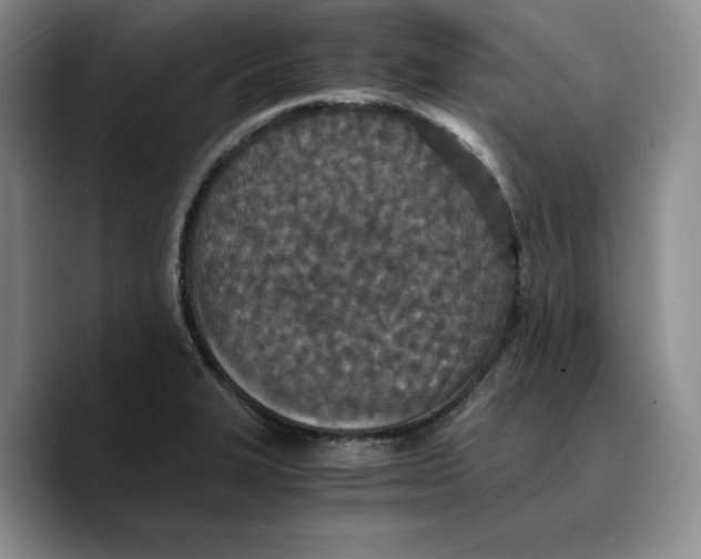 X0000089671327200707201631