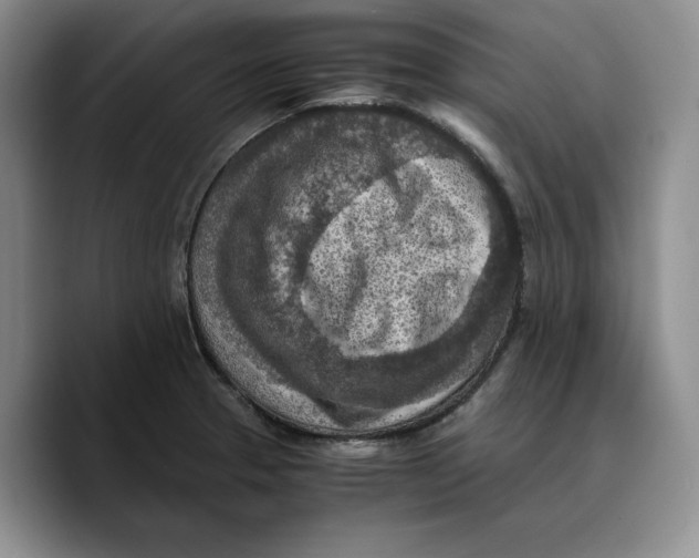 X0000089671329200707201631