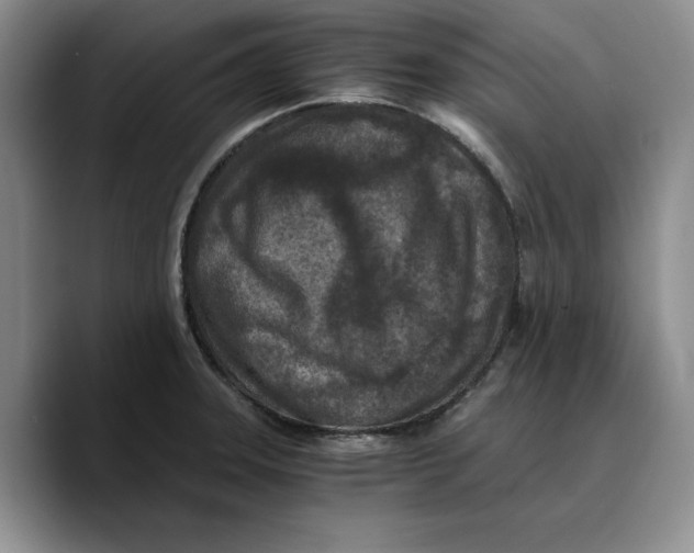 X0000089671331200707201631