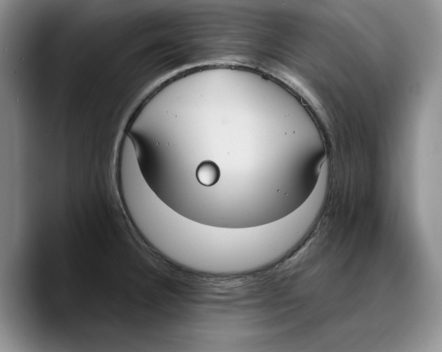 X0000089671332200707201631