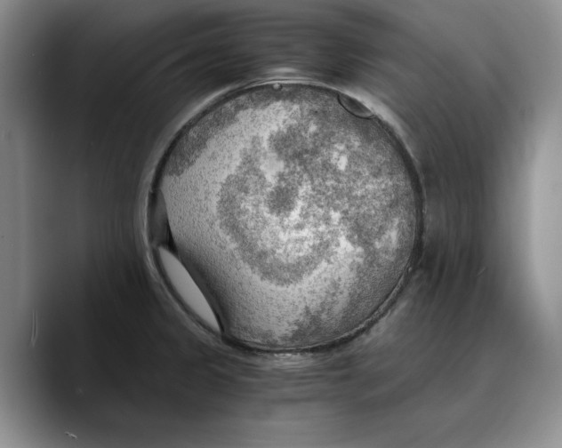 X0000089671333200707201631