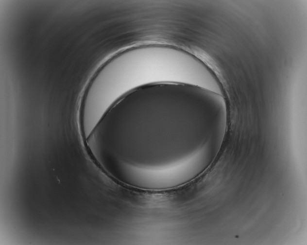 X0000089671334200707201631