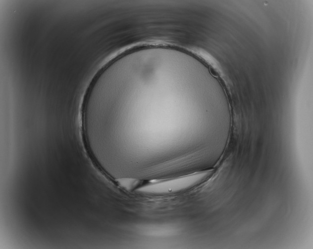 X0000089671335200707201631