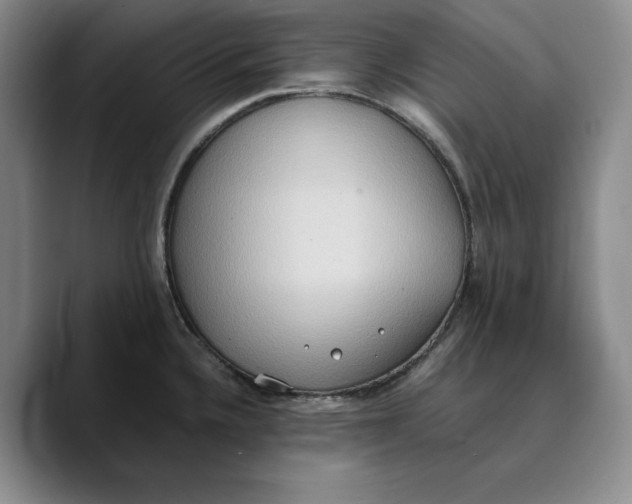 X0000089671336200707201631