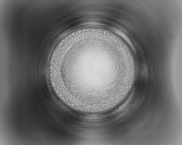 X0000089671338200707201631