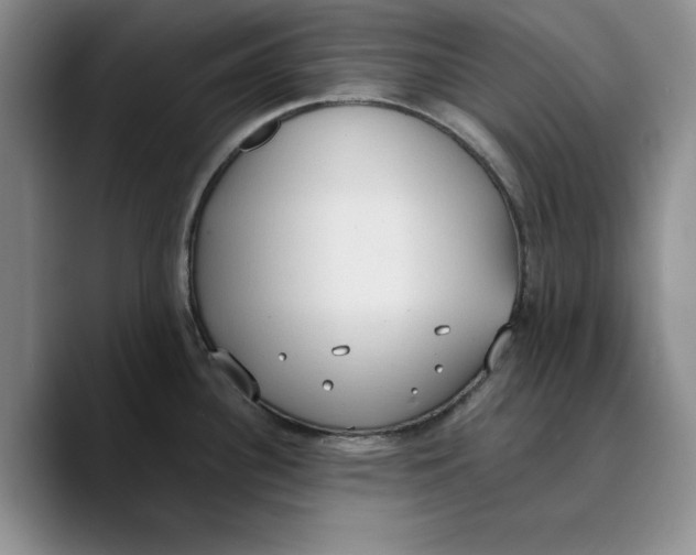 X0000089671340200707201631