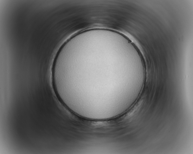 X0000089671341200707201631